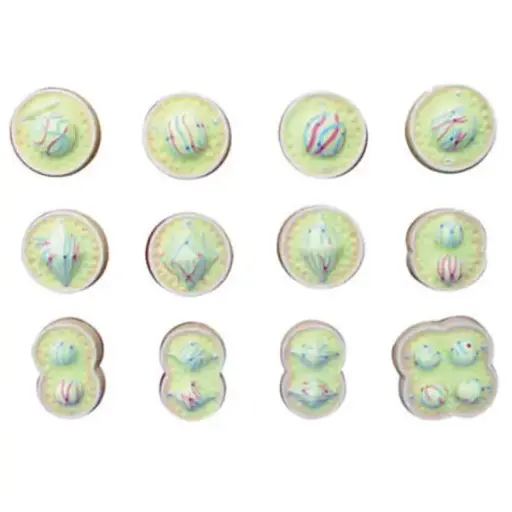 AJKANT ANIMAL CELL DIVISION (MEIOSIS) - Original View