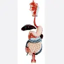 AJKANT HUMAN DIGESTIVE SYSTEM - Original View