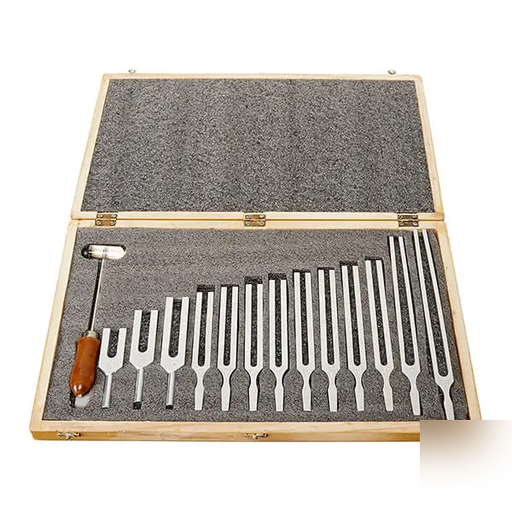 AJKANT TUNNING FORK WELCH TYPE.