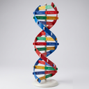 AJKANT DNA MODEL 2