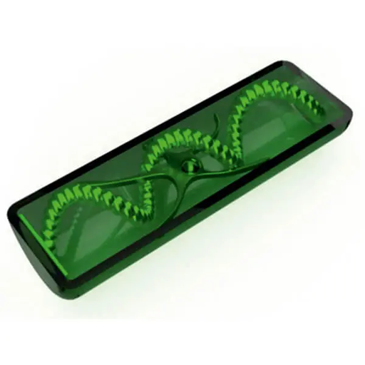 AJKANT MODEL OF SPIROGYRA