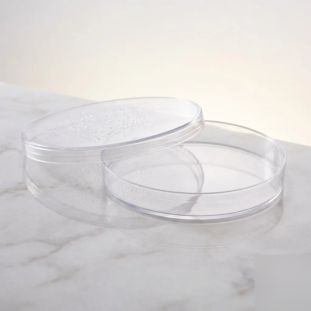 AJKANT Dishes