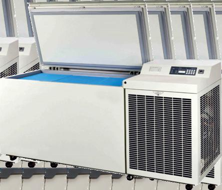 -20ºDEEP FREEZER (DFN SERIES)