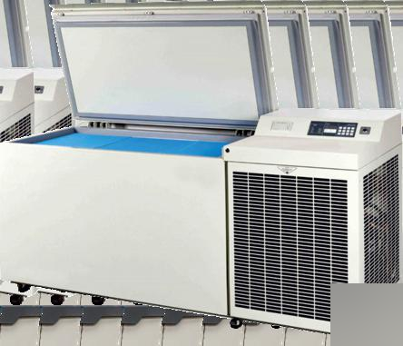-20ºDEEP FREEZER (DFN SERIES)