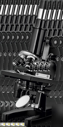 MEDICAL MICROSCOPE (NM SERIES)