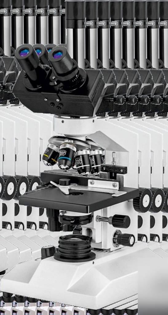 Clinical Binocular Microscope (NBM Series)