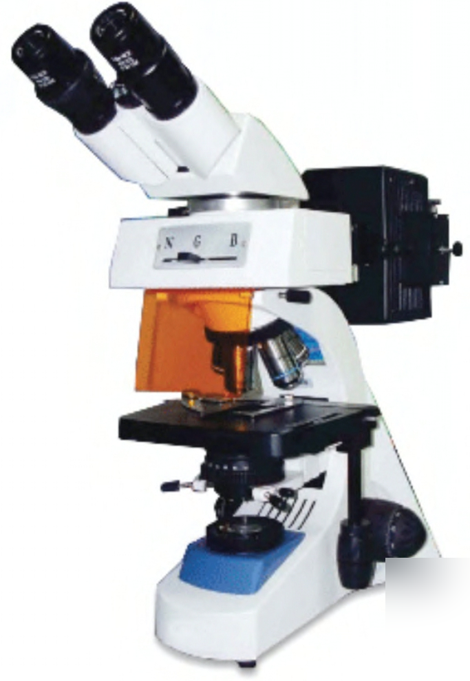 EPI- FLUORESCENCE MICROSCOPE (EFN SERIES)