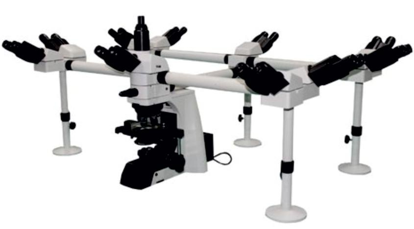 DECA HEAD MICROSCOPE (DECCAN SERIES)