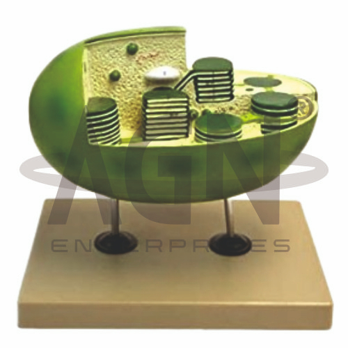 AJKANT Chloroplast (Model: AJK-BILA-12725)