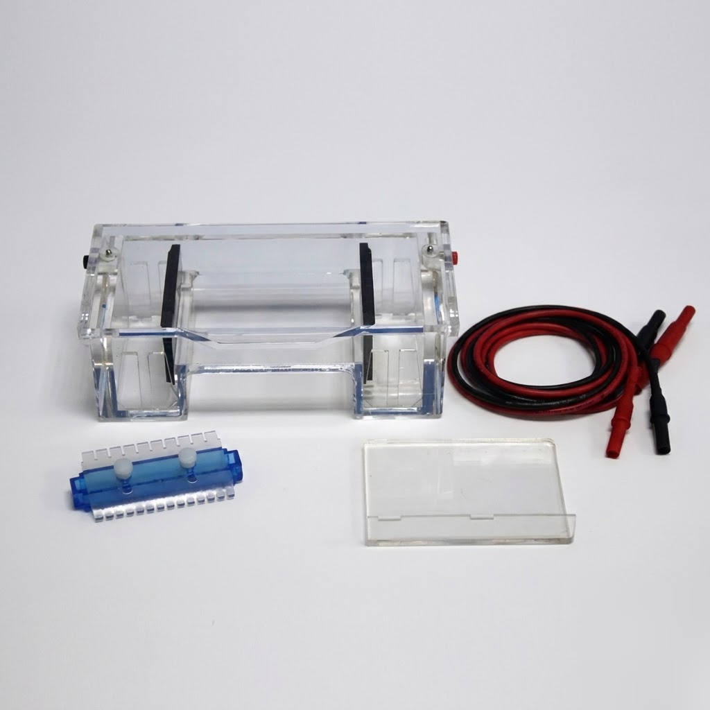 [AJK-ELEC-3064] AJKANT Gel Electrophoresis Unit (Model: AJK-ELEC-3064)